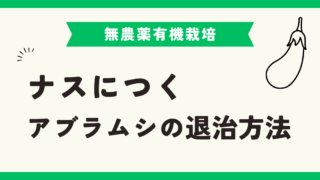 ナスにつくアブラムシの退治方法｜無農薬でできる安全な駆除法 